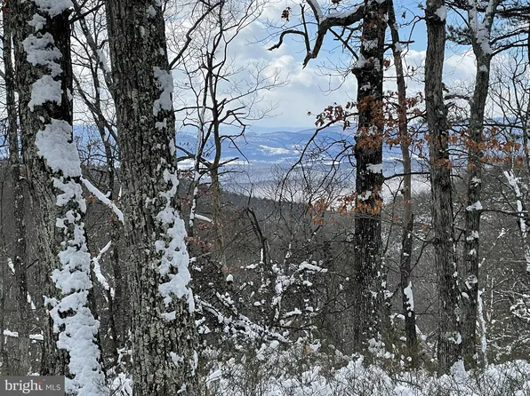 238 Black Oak Dr, Moorefield, WV 26836