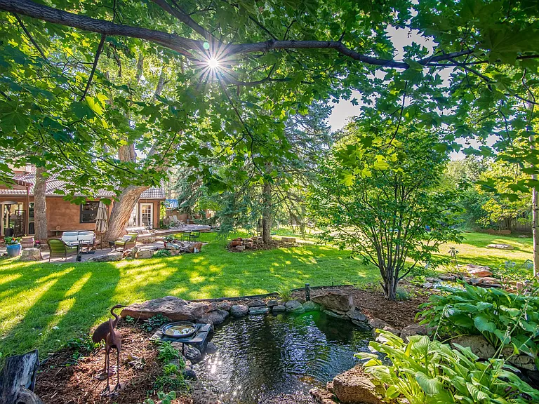 Ponds and Yard