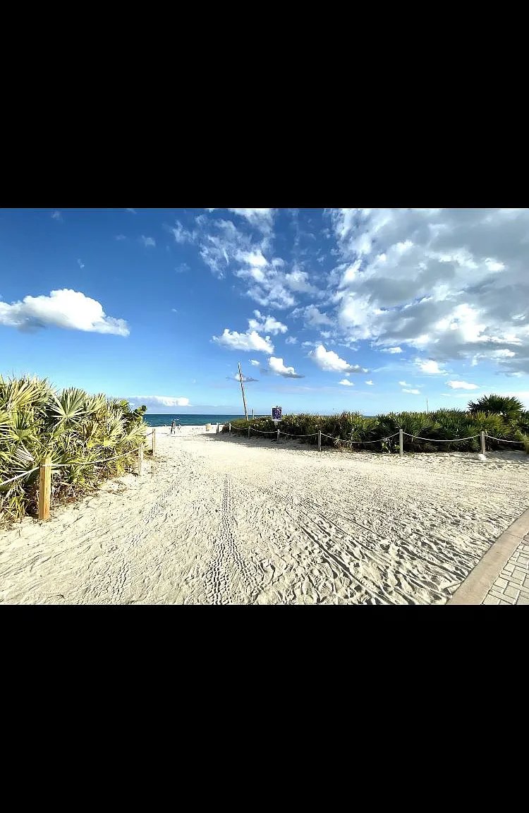 1 bed, 600 sqft, $1,800 — Photo 4