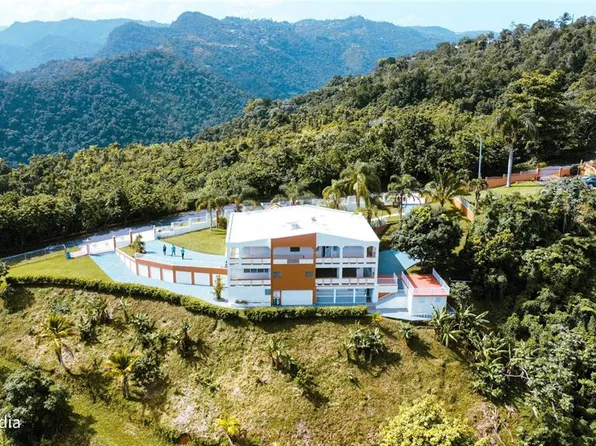 Carr 168 Bo Cuchillas, Morovis, PR 00687