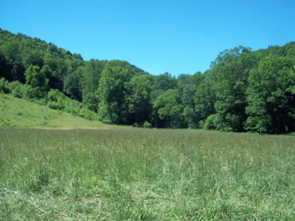 290 Hicks Hollow Rd, Rock, WV 24747