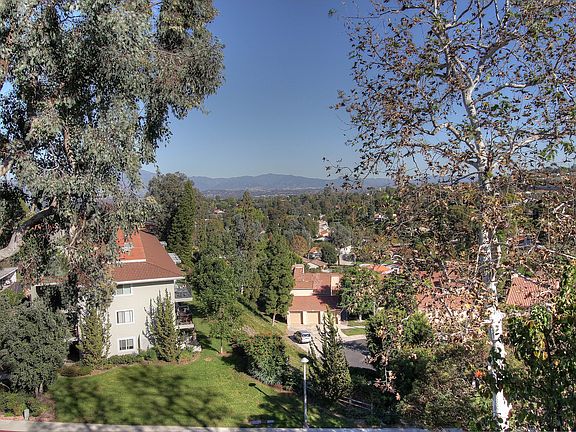 Living & Dining room views