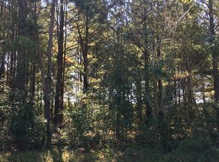 60 Olin Goode Dr, Sumter, SC 29153