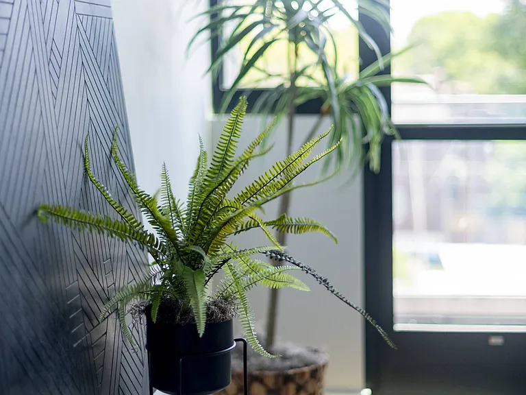 Y/O — Photo 35