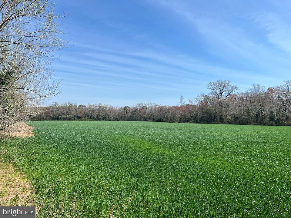 2nd image of Concord Pond Rd