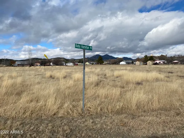18638 S BABY HAMILTON Road #88, Kirkland, AZ 86332