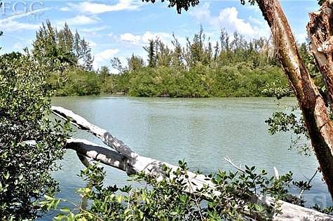View of Bayou from back of property