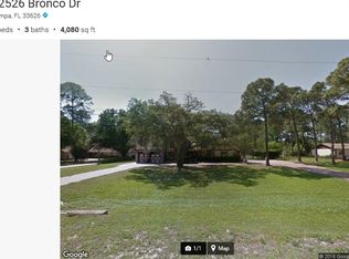12526 Bronco Dr, Tampa, FL 33626