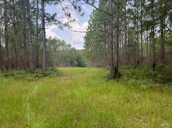 0 Nokomis Rd, Mc David, FL 32568