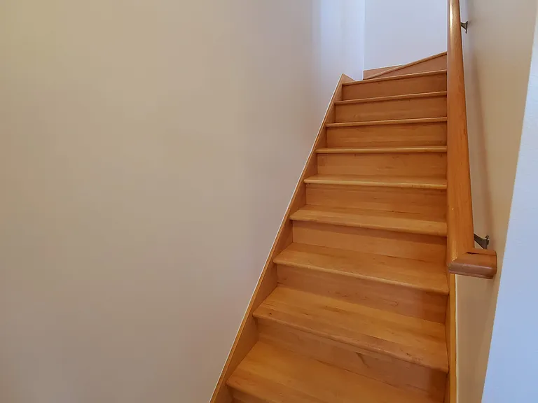 Entry Stairs