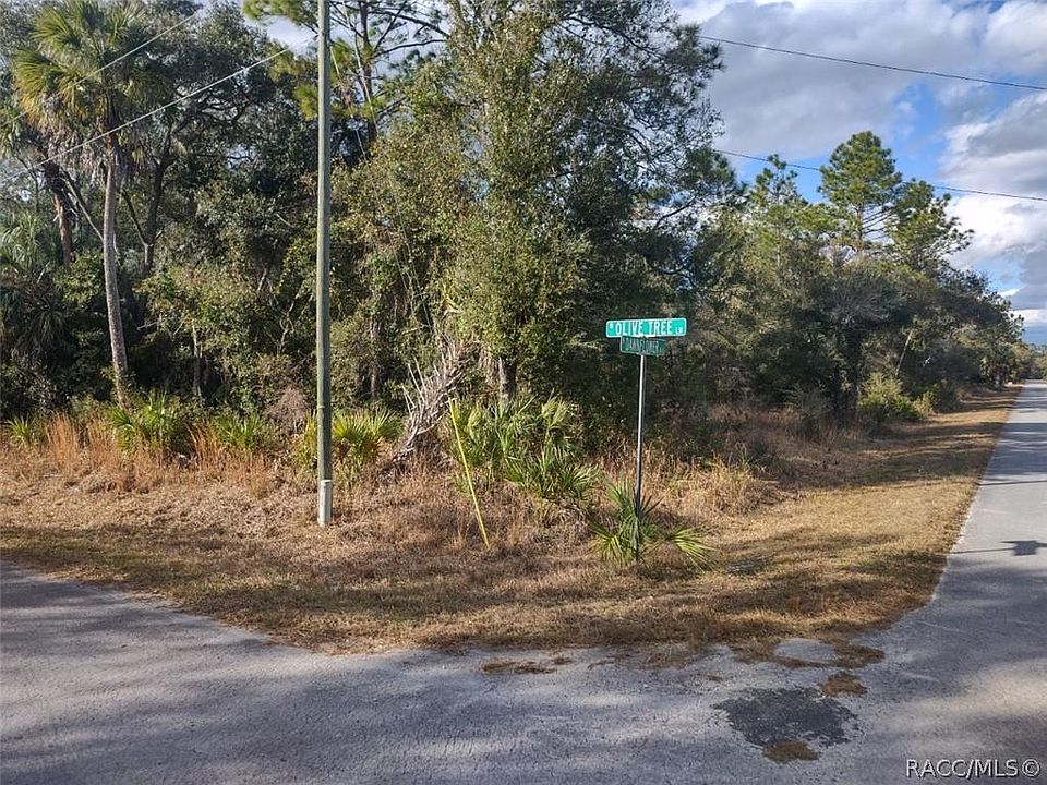 2nd image of 11849 W Olive Tree Ln