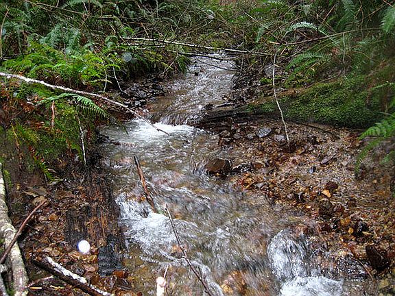 Years round creek