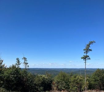 2789 Salt Lick Rd, Montrose, WV, 26283