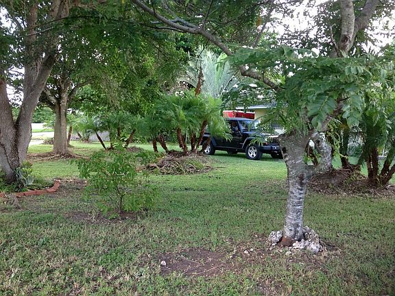 Portion of Front Yard