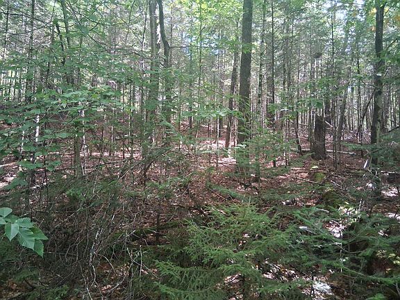 2nd image of 14-257 Garfield Road #N-6 Sec2