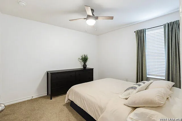 6319 Encore Oaks — Photo 19