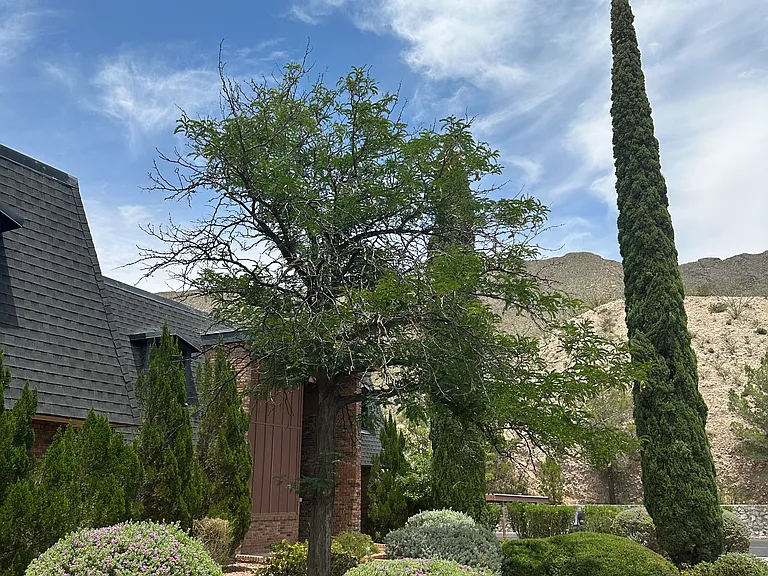 Landscaping around the community