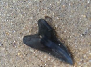 4409 Locust Grove Rd, Chesapeake Beach, MD 20732