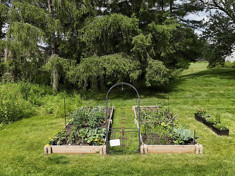 Our Community Garden