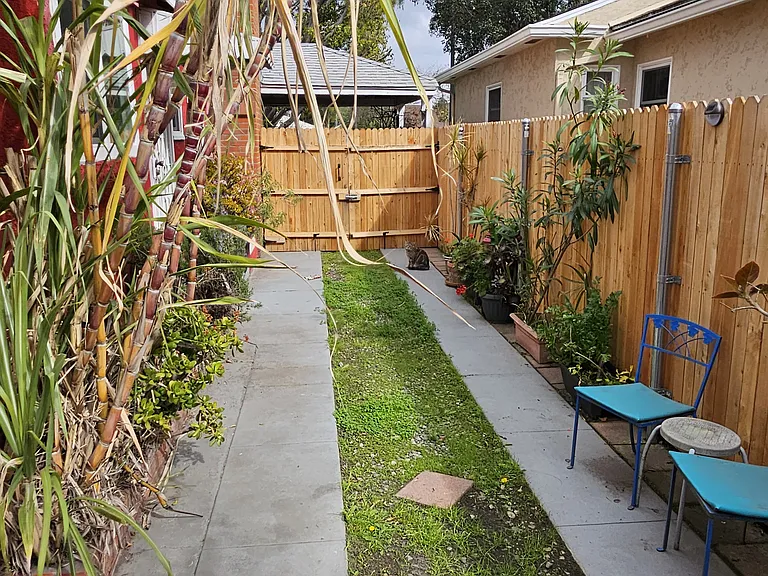 Daisy Ave — Photo 10