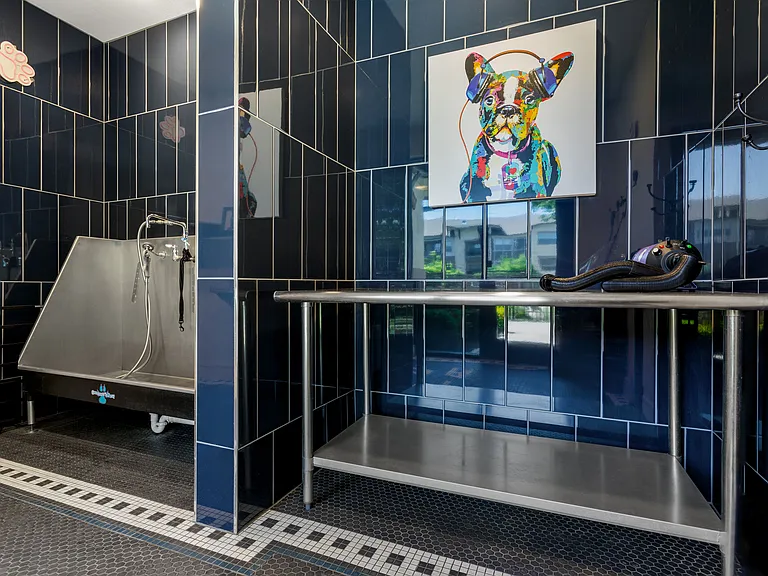 Keep your pup fresh and clean in our convenient dog spa
