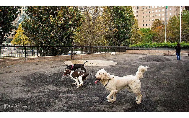 Rented by Douglas Elliman | media 13