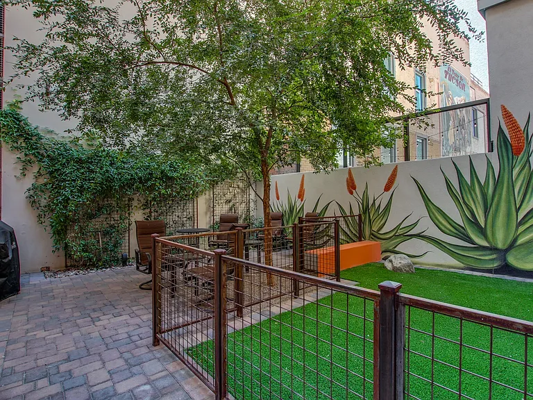 Court Yard
