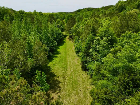 0 County Road 12, Millport, AL 35576