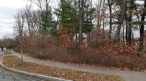 1st image of 64 Puritan Pl