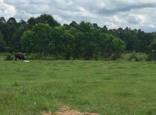 0 Ray Jones Rd, Franklinton, LA 70438