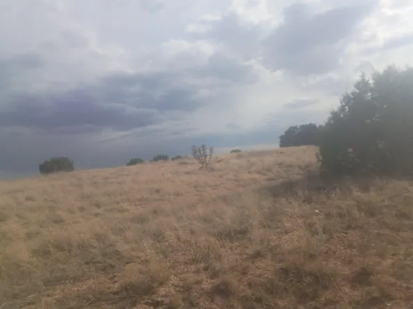 LOT-48A Cassandra Ct, Moriarty, NM 87035