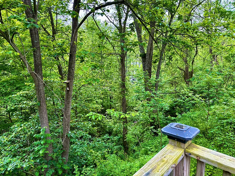 651 Glasco Tpke #NA — Photo 9