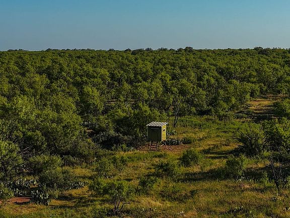 Rolling Oaks Ranch, mature oak trees, native grasses, utilities available