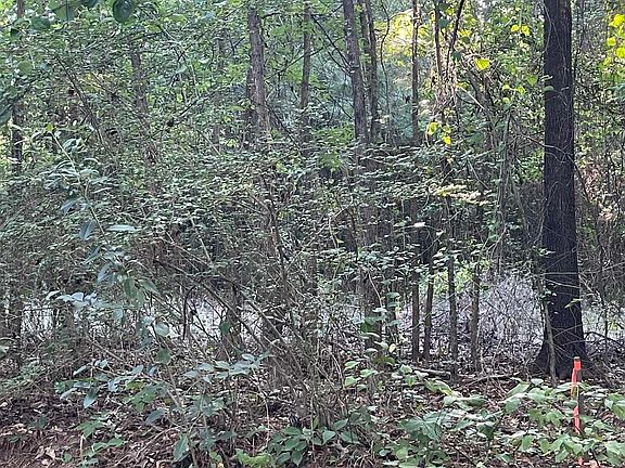2nd image of County Road 2151 #5