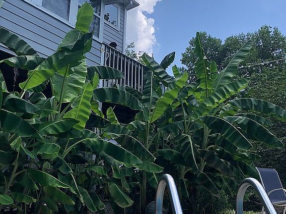 3rd image of 3903 Landmark Dr