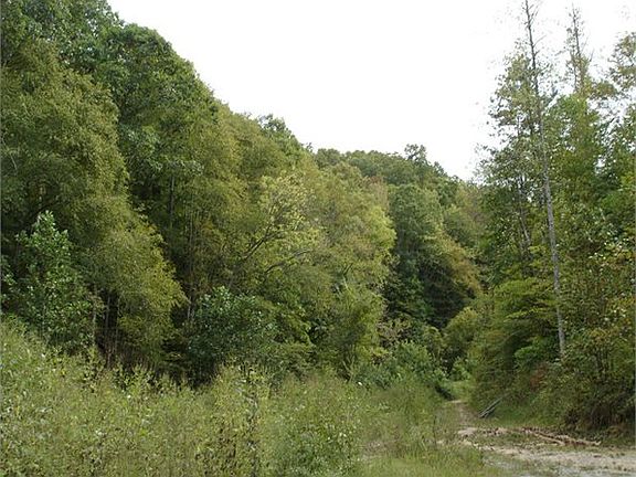 3rd image of 405 Brandon Hollow Ln