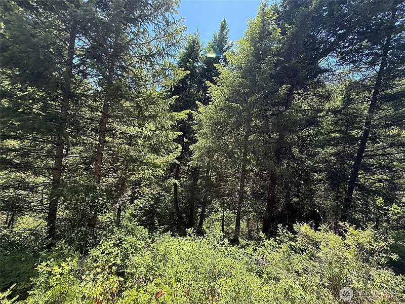 2nd image of 0 TBD Toroda Creek Road