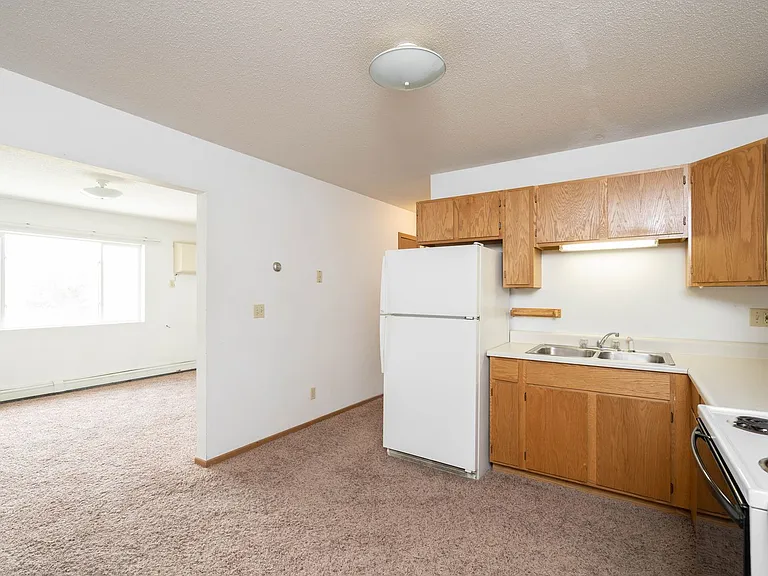 704 Nicc Apt Dr — Photo 14