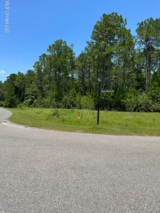 Fox Pen Dr #180, Carriere, MS, 39426