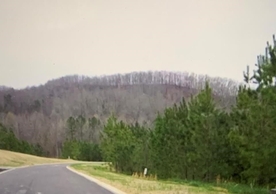 2nd image of 183 Mountain View Cir