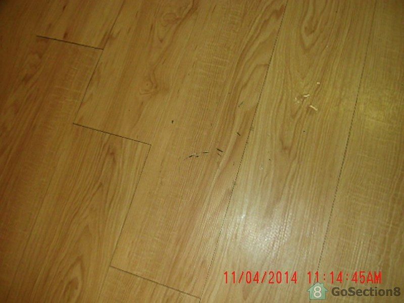 1st image of 201 Alexandria Dr