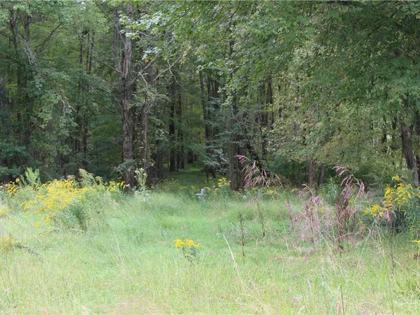 Summer Valley Rd Lot 5, New Ringgold, PA 17960