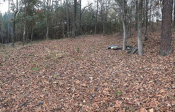Home Site (Looking West)