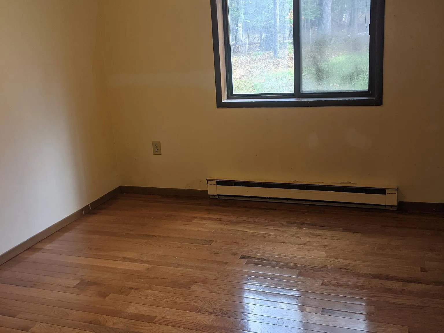 1 bed, $1,450 — Photo 4