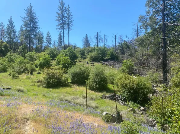 Hecker Way, Oroville, CA 95966