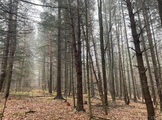 2375 Turnpike Rd, Almond, NY 14804