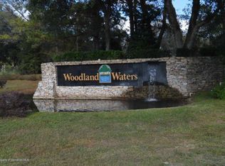 Warm Wind Way LOT 1, Weeki Wachee, FL 34613