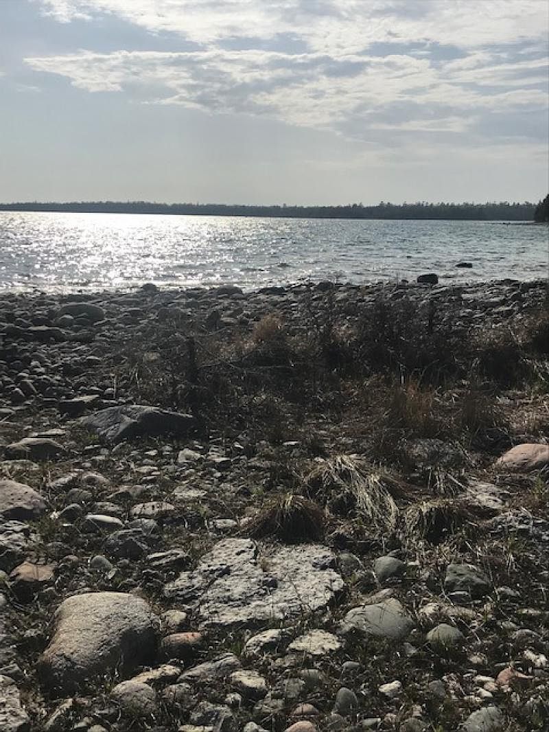 LOT 31 E Bass Cove Rd, Drummond Island, MI 49726 Zillow
