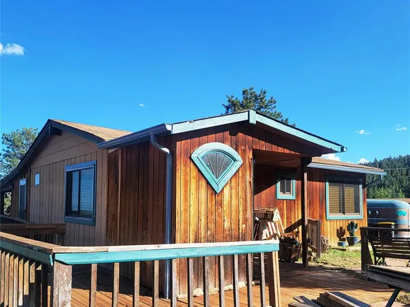 387 S Pine Drive, Bailey, CO 80421