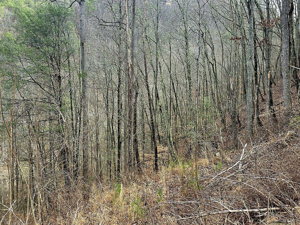 1st image of 3278 Emerald Springs Loop